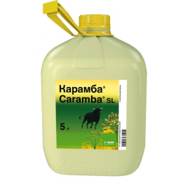 Карамба