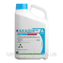 Акадія КС