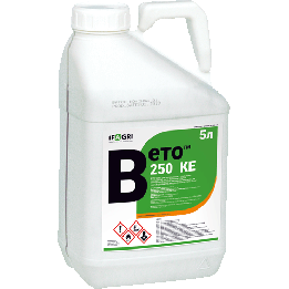 Вето 250