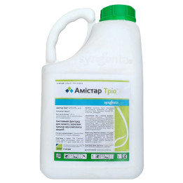 Амистар Тріо 255 ЕС
