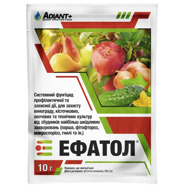 Ефатол