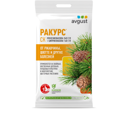 Ракурс