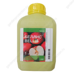 Беллис