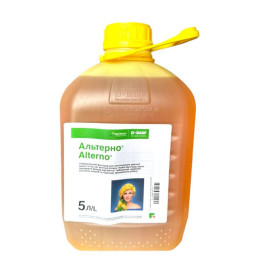 Альтерно