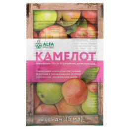 Камелот