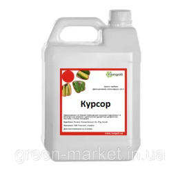 Курсор