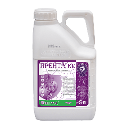 Прента