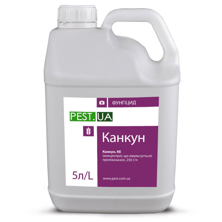 Канкун