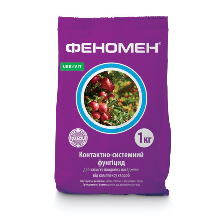Феномен