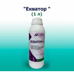 Екватор