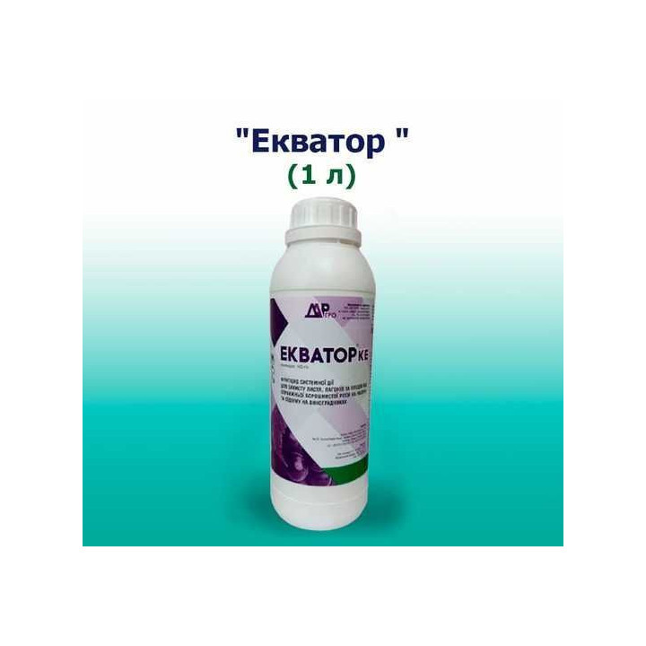 Екватор