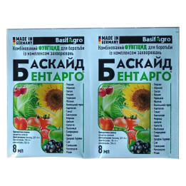 Баскайд