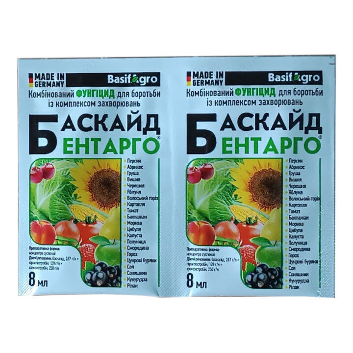 Баскайд