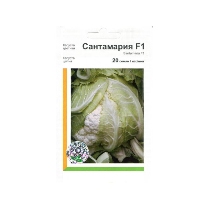 Сантамария РЦ F1 / Cantamaria RZ F1