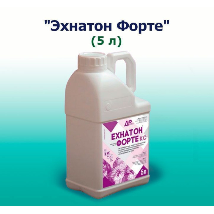 Ехнатон Форте