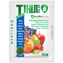 Тинил