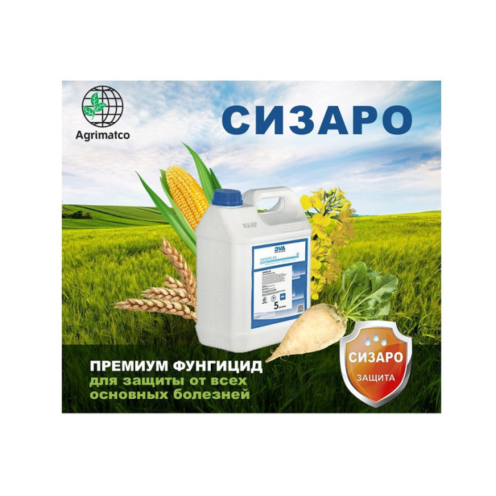 Сизаро