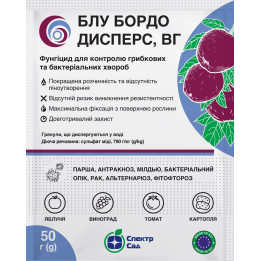 Блу Бордо Дисперс