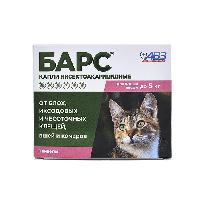 Бар-Кот-5 к.с.
