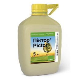 Піктор