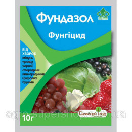 Економ