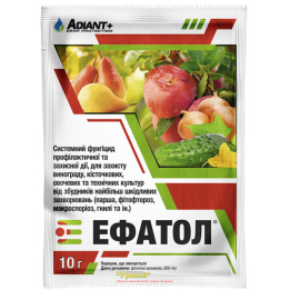 Ефатол з.п.