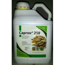 Саргон 250 к.е.
