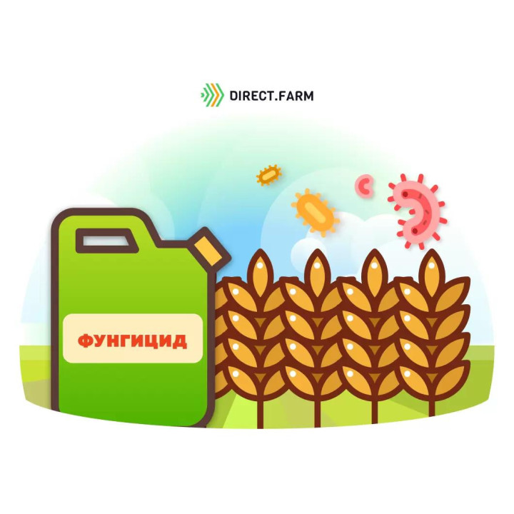 Замір 400
