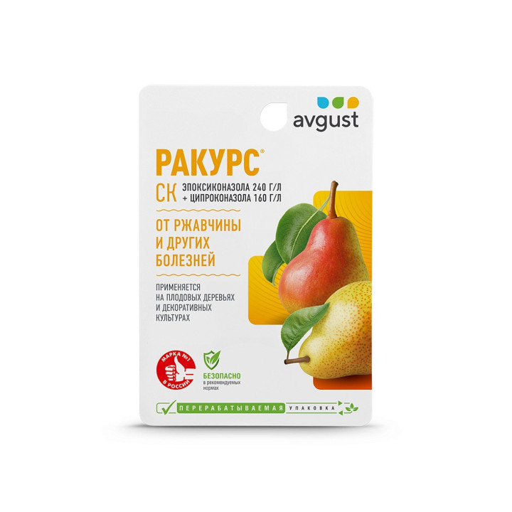 Ракурс к.с.