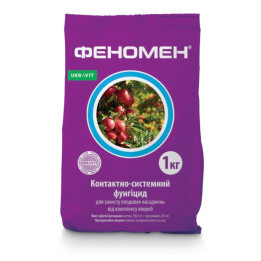 Феномен