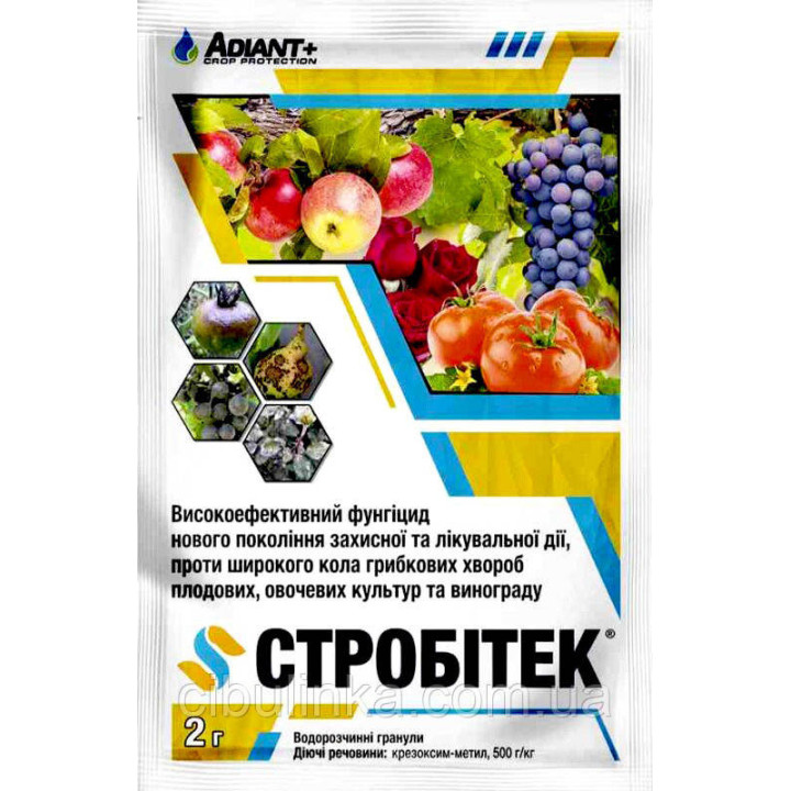 Стробітек в.г.