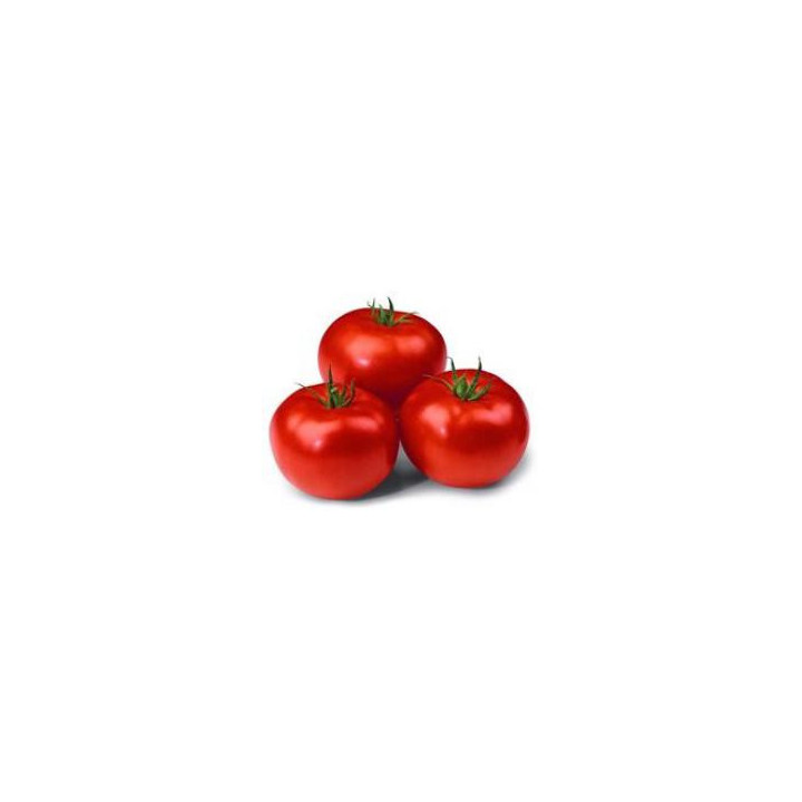 Макарена F1