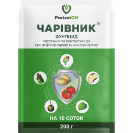 Чарівник з.п.