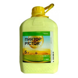 ПІКТОР к.с.