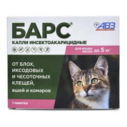 Бар-Кот-5 к.с.
