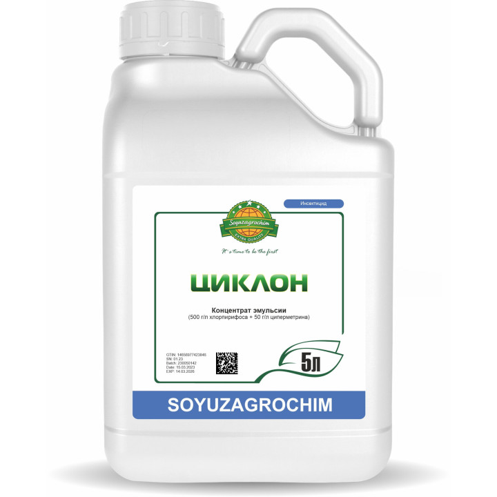 Циклон к.с.