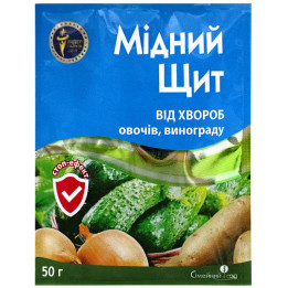 ЩИТ