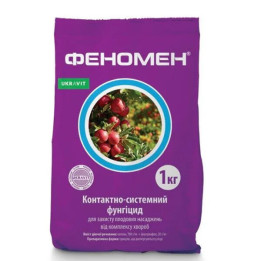 Феномен в.г.