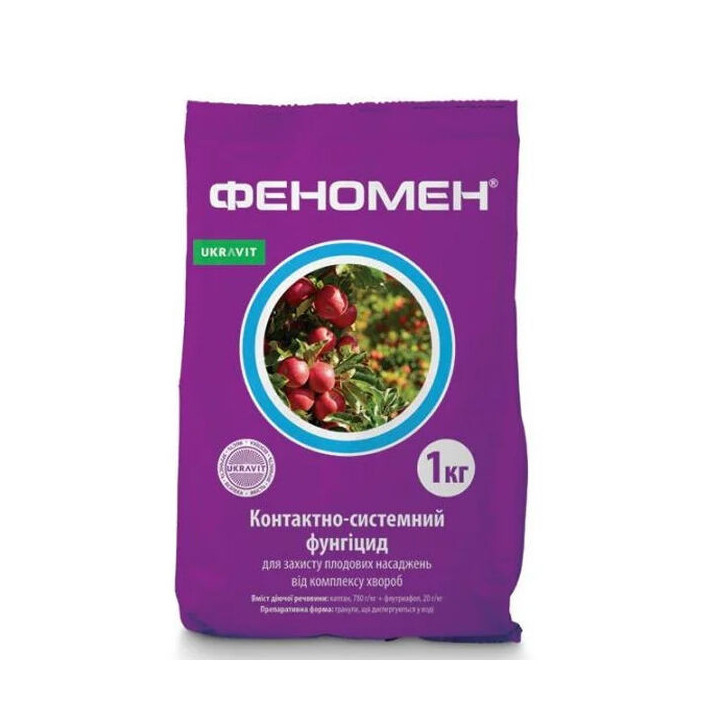 Феномен в.г.