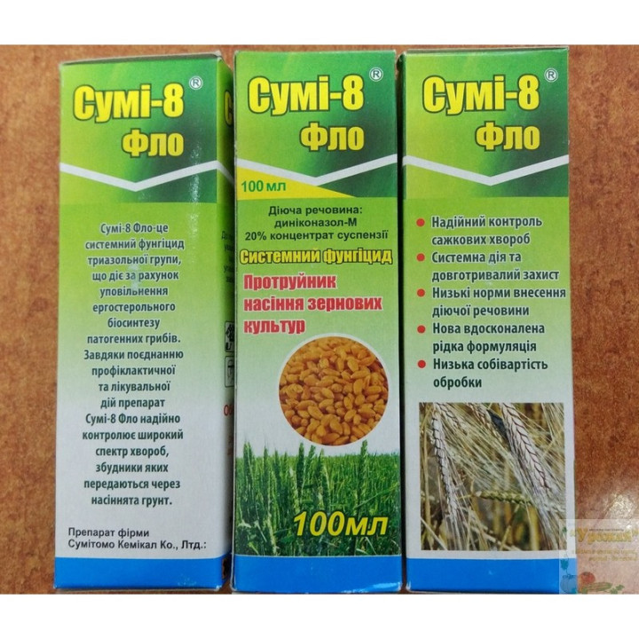 Сумі-8 Фло