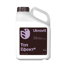 ТОП ЕФЕКТ