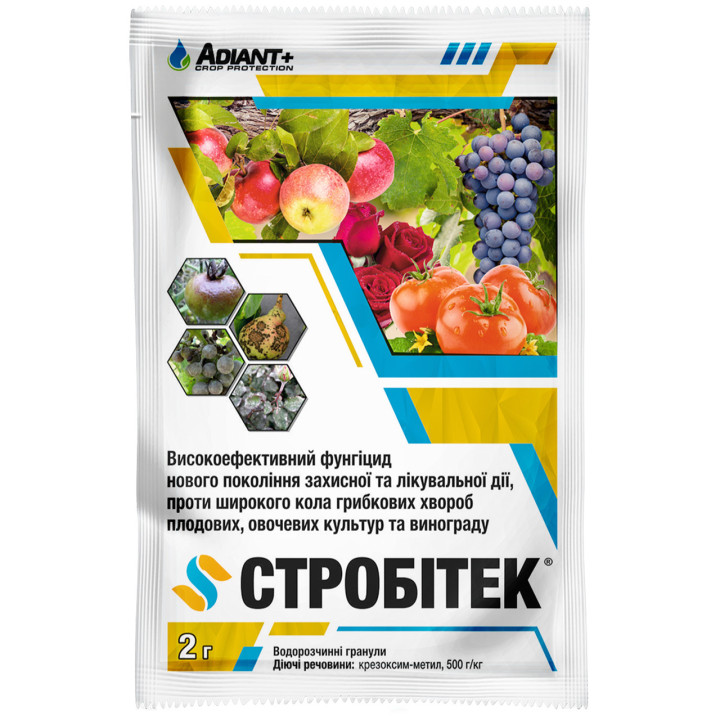 Стробітек