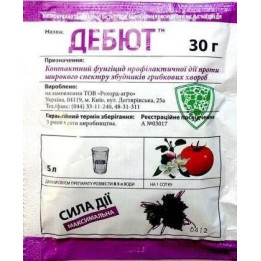 ДЕБЮТ