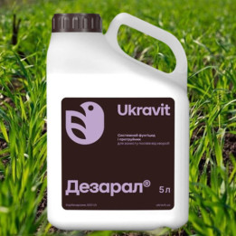Дезар-Зоря