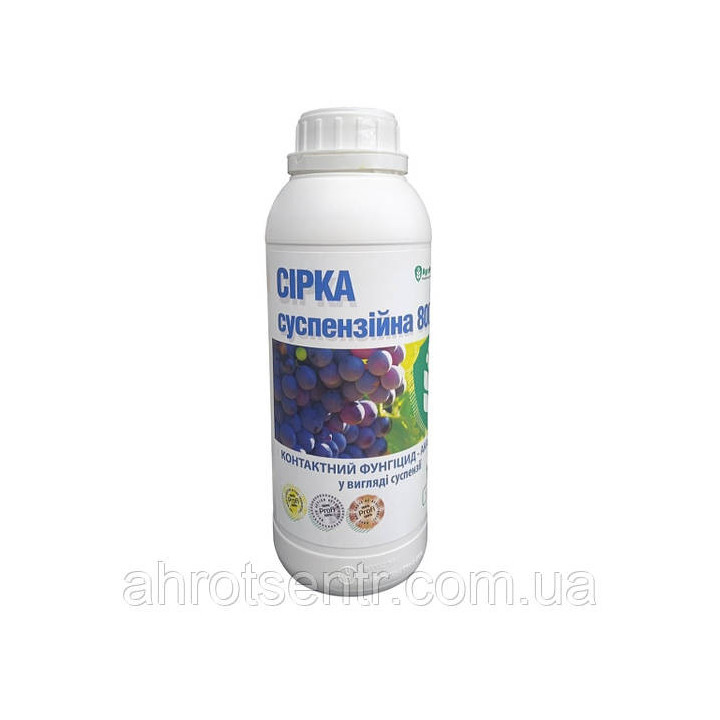 Стаміна