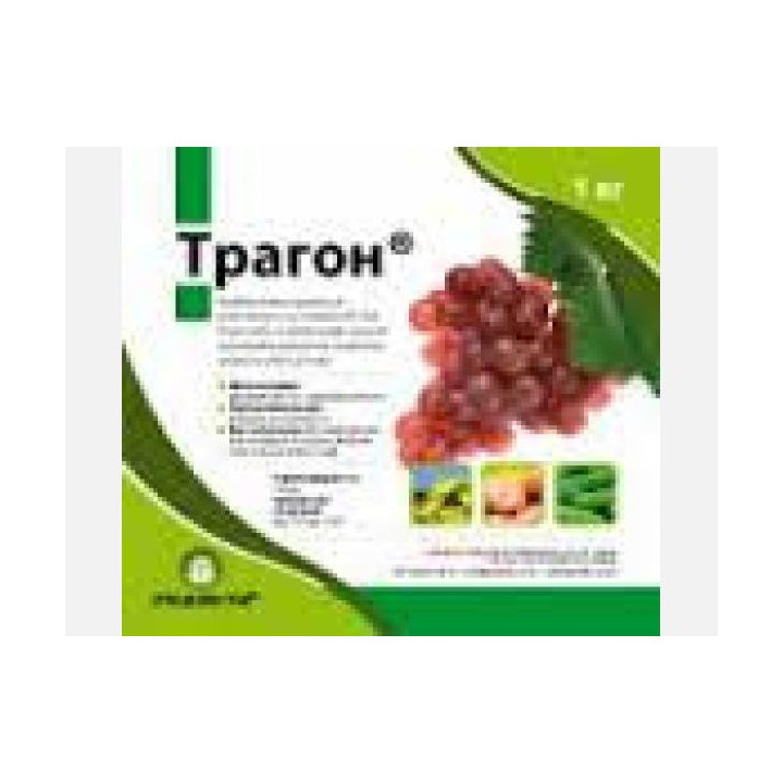 Трагон