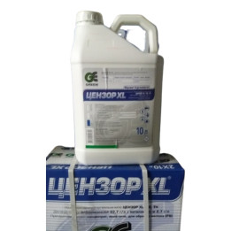 Цензор XL SC