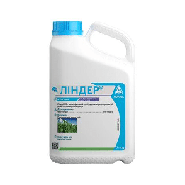 Ліндер Топ