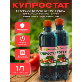 Росток