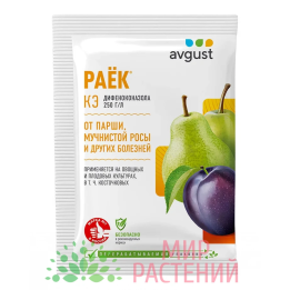 Райок КЕ